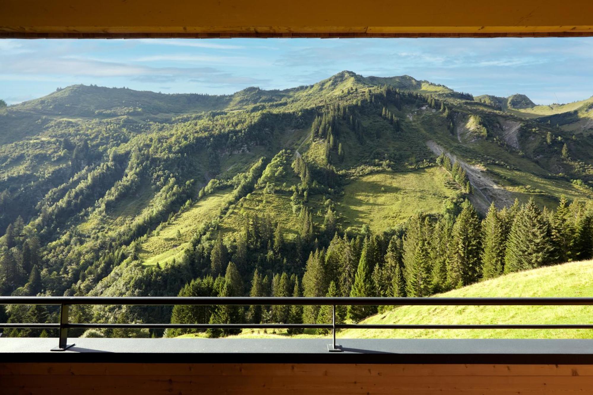 Appartement Alpenstolz Damuels Haus 4 - Stilvoll Urlauben In Den Bergen Extérieur photo