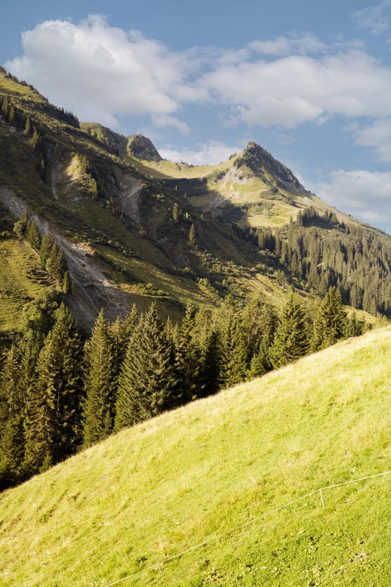 Appartement Alpenstolz Damuels Haus 4 - Stilvoll Urlauben In Den Bergen Extérieur photo