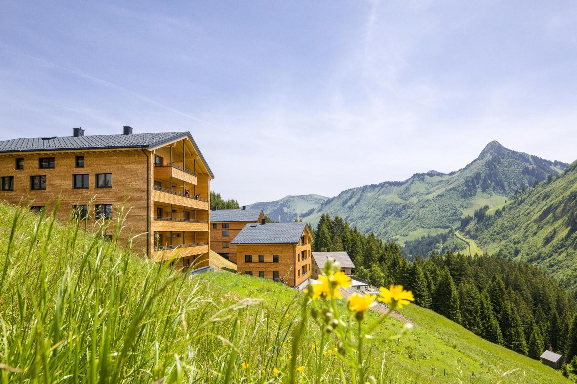 Appartement Alpenstolz Damuels Haus 4 - Stilvoll Urlauben In Den Bergen Extérieur photo