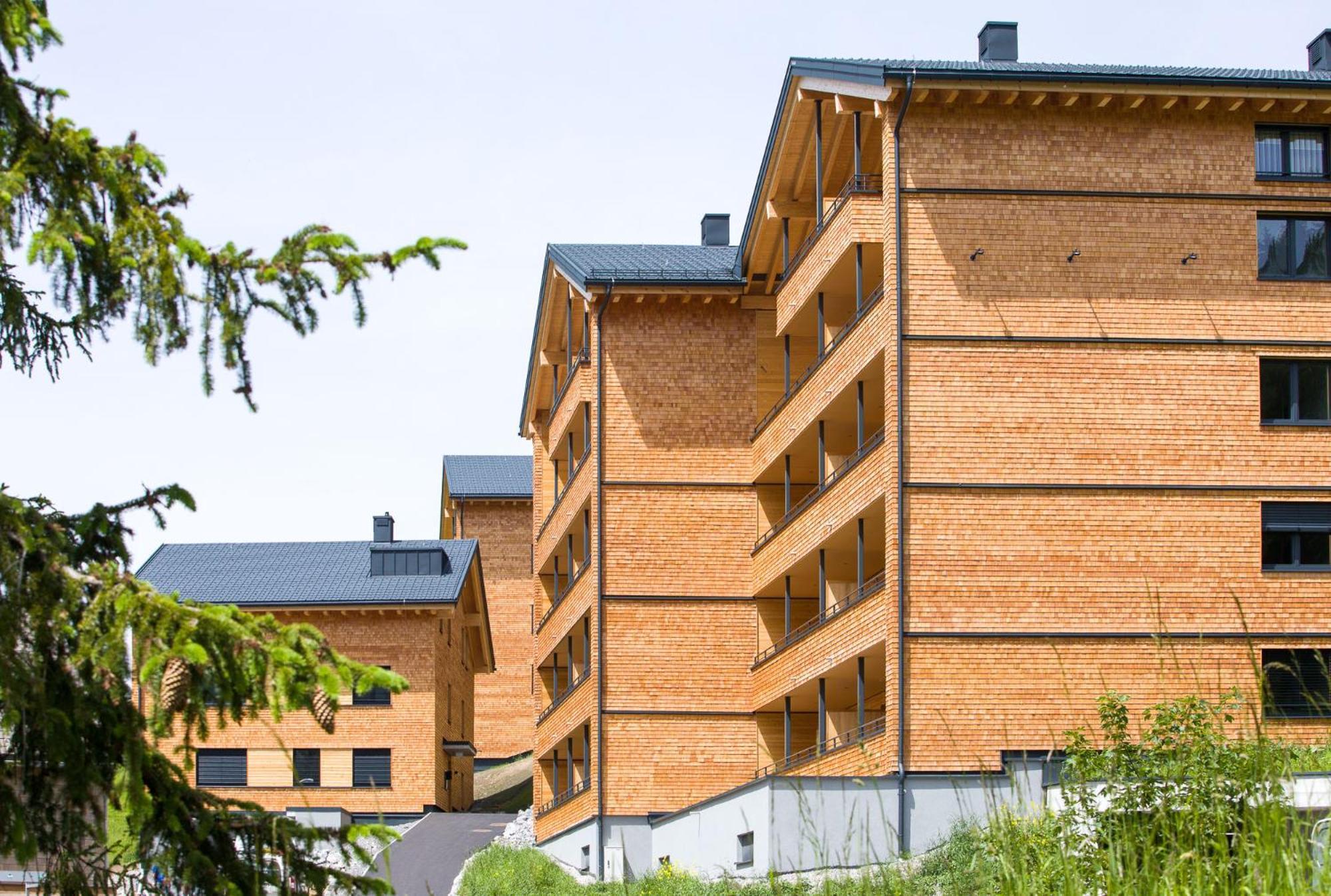 Appartement Alpenstolz Damuels Haus 4 - Stilvoll Urlauben In Den Bergen Extérieur photo