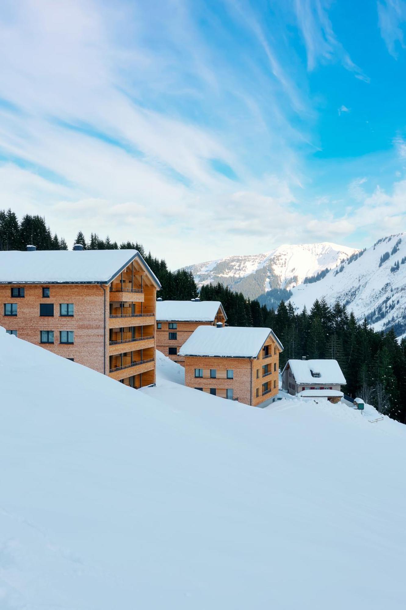 Appartement Alpenstolz Damuels Haus 4 - Stilvoll Urlauben In Den Bergen Extérieur photo